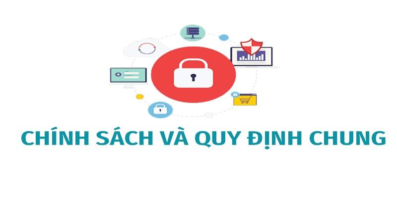 Chấp hành đúng quy trình hoạt động khi cá cược